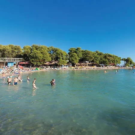 Apartment 1 Bedroom Pet Friendly In Biograd